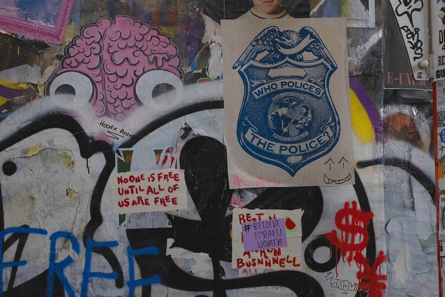Image 4
